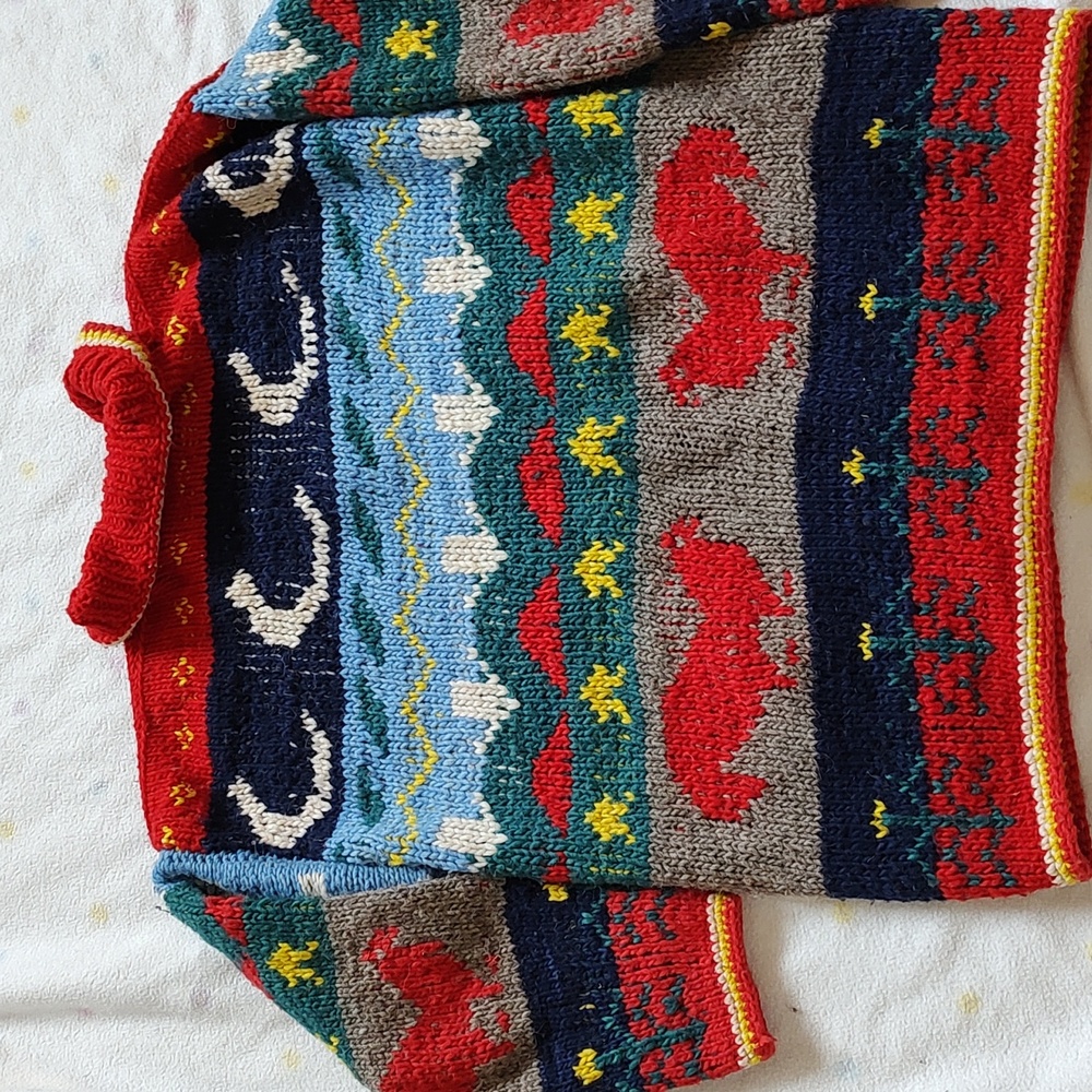 Chicken chunky knit wool sweater - Picture 6 of 7